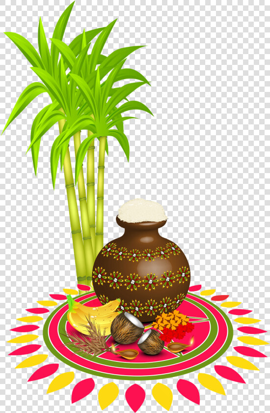 Happy Pongal Wishes 2019  HD Png DownloadTransparent PNG