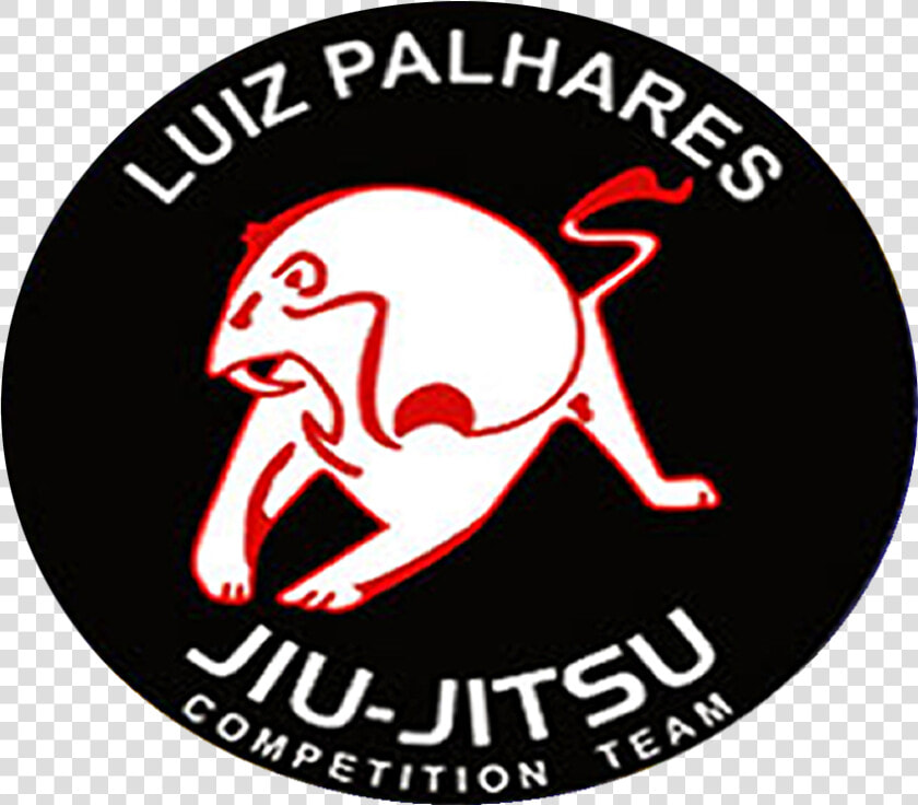 Luiz Palhares  HD Png DownloadTransparent PNG