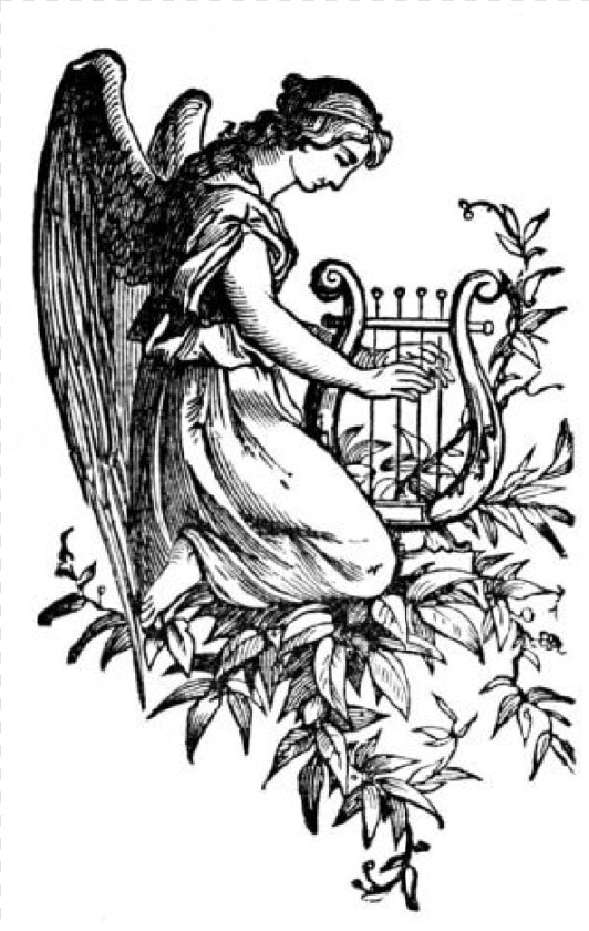 Cherub Harp Drawing Angel   Drawings Of Gods Angels  HD Png DownloadTransparent PNG