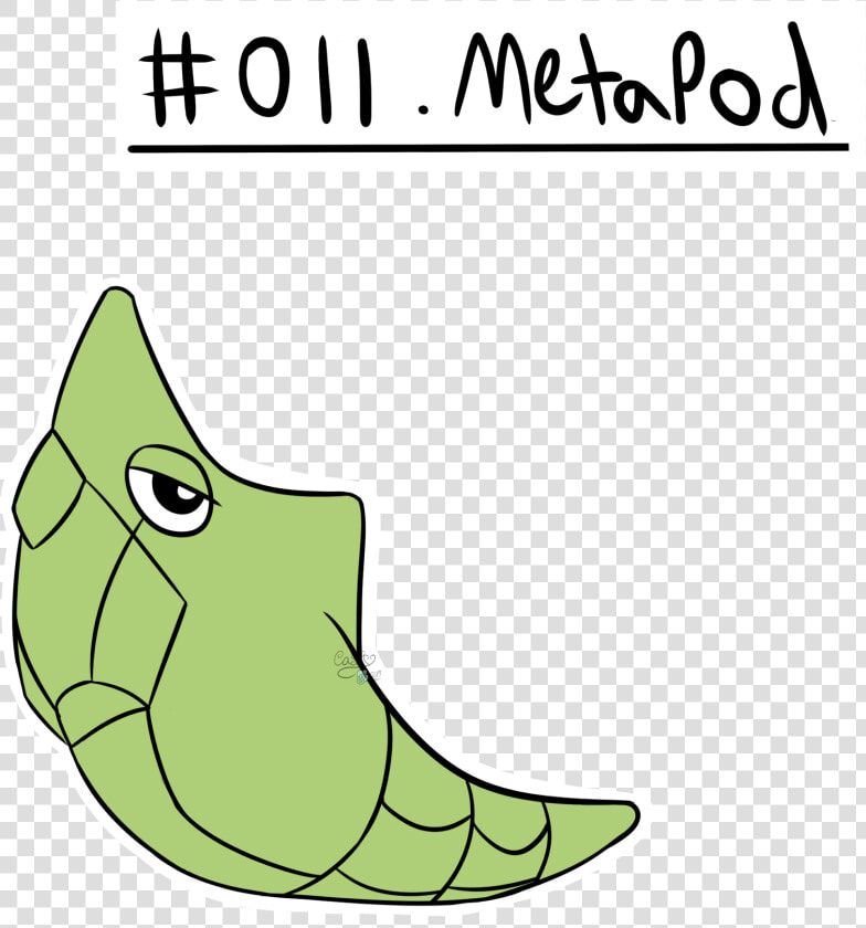 011 Metapod  HD Png DownloadTransparent PNG