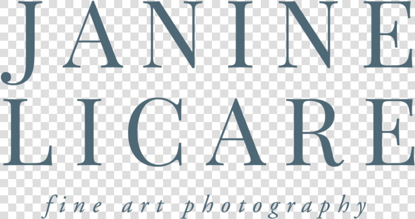 Janine Licare Photography Full Logo 01  HD Png DownloadTransparent PNG