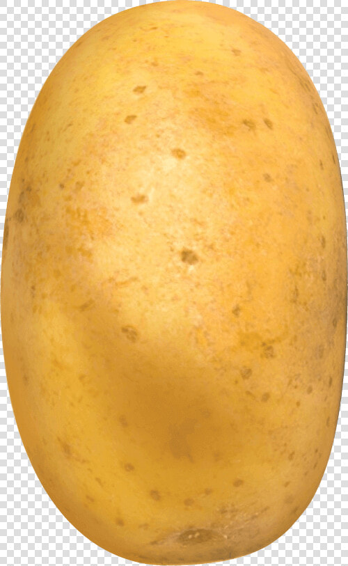 Potato    Potato  HD Png DownloadTransparent PNG