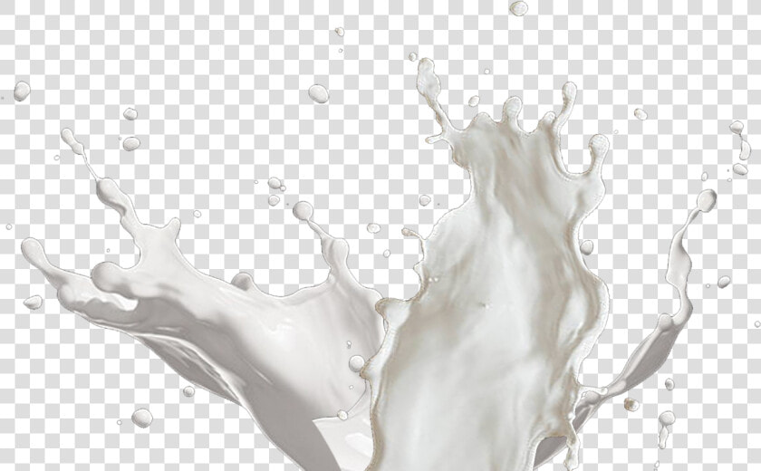 Graphic Royalty Free Library Best United Shakes   Transparent Milk Splash Png  Png DownloadTransparent PNG