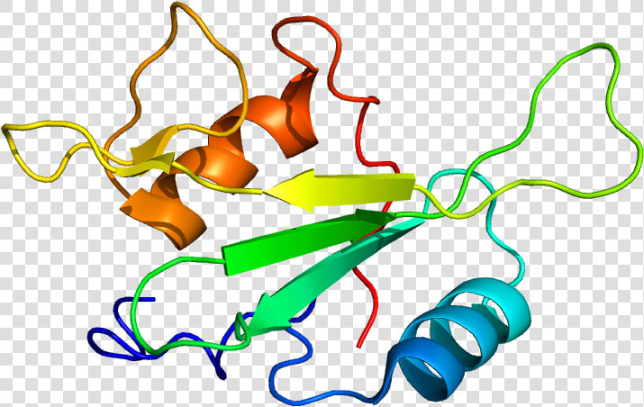 Protein Bmx Pdb 2ekx  HD Png DownloadTransparent PNG