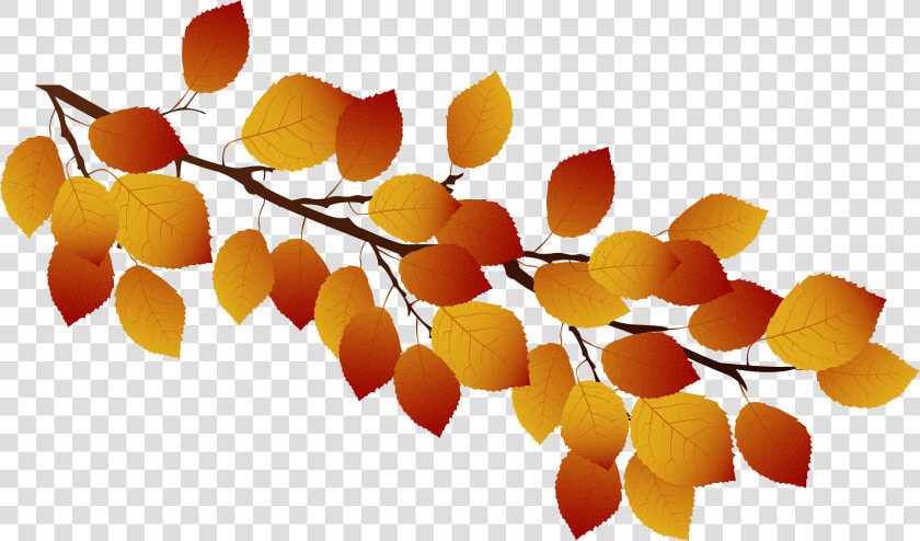 Autumn Branch Png   Branch Of Fall Leaves Clipart  Transparent PngTransparent PNG