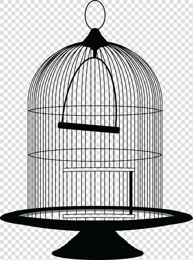 28 Collection Of Bird Cage Clipart Png   Bird Cage Clipart  Transparent PngTransparent PNG