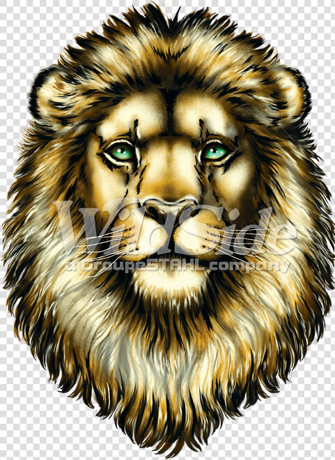 Big Face Roaring Lion Adult T shirt The Mountain     Masai Lion  HD Png DownloadTransparent PNG