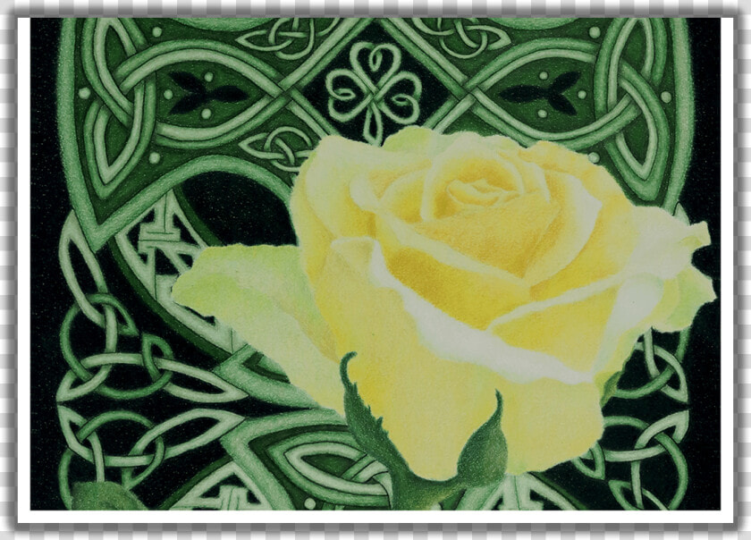 Emerald Enchantment Close up St   Floribunda  HD Png DownloadTransparent PNG