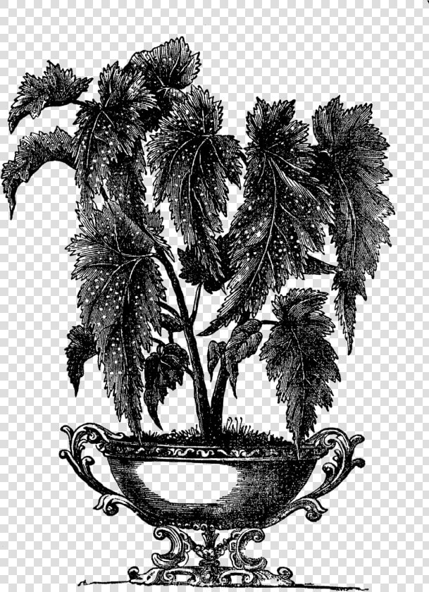 Hu   Victorian Indoor Plant Pot  HD Png DownloadTransparent PNG