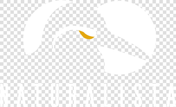 Thumb Image   Hornbill  HD Png DownloadTransparent PNG