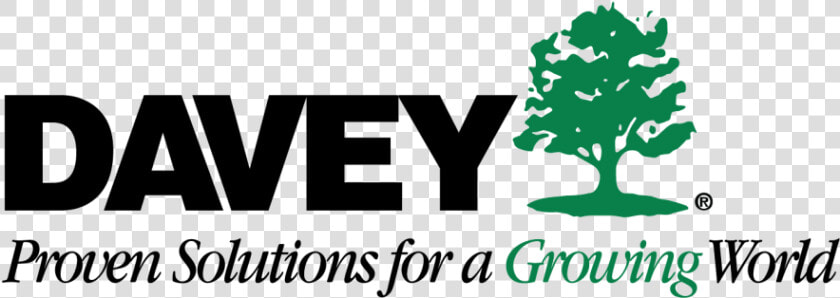 Davey Tree Service  HD Png DownloadTransparent PNG