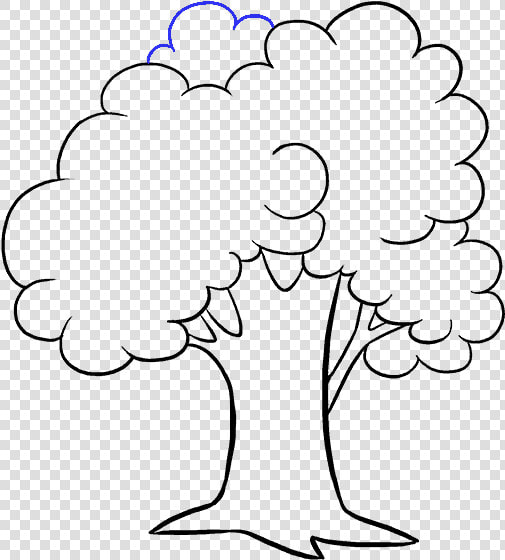 Clip Art Drawing Of A Tree   Drawing Picture Of Tree  HD Png DownloadTransparent PNG