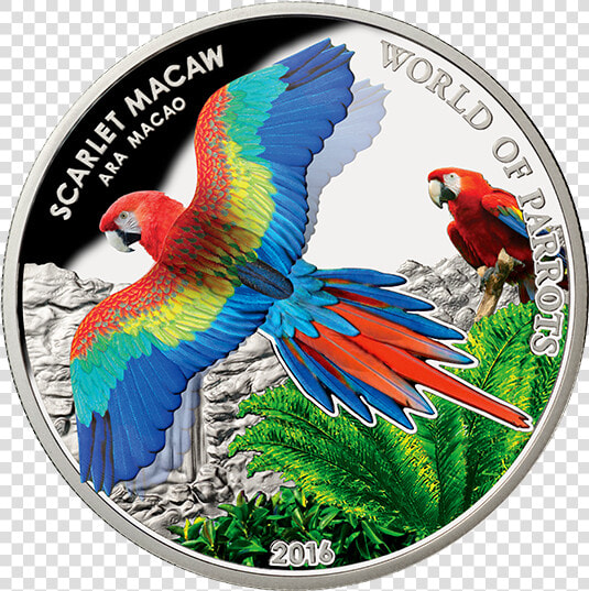 World Of Parrots Coins  HD Png DownloadTransparent PNG