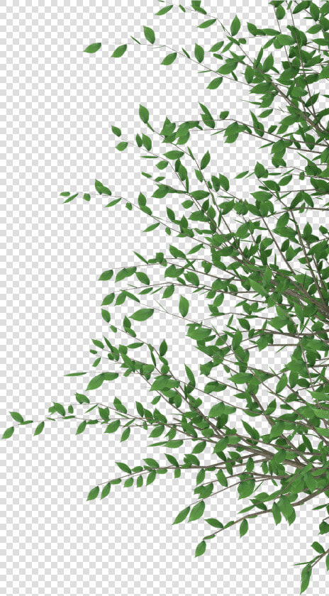 Cut Out Photoshop   Download Cut Out Photoshop  HD Png DownloadTransparent PNG