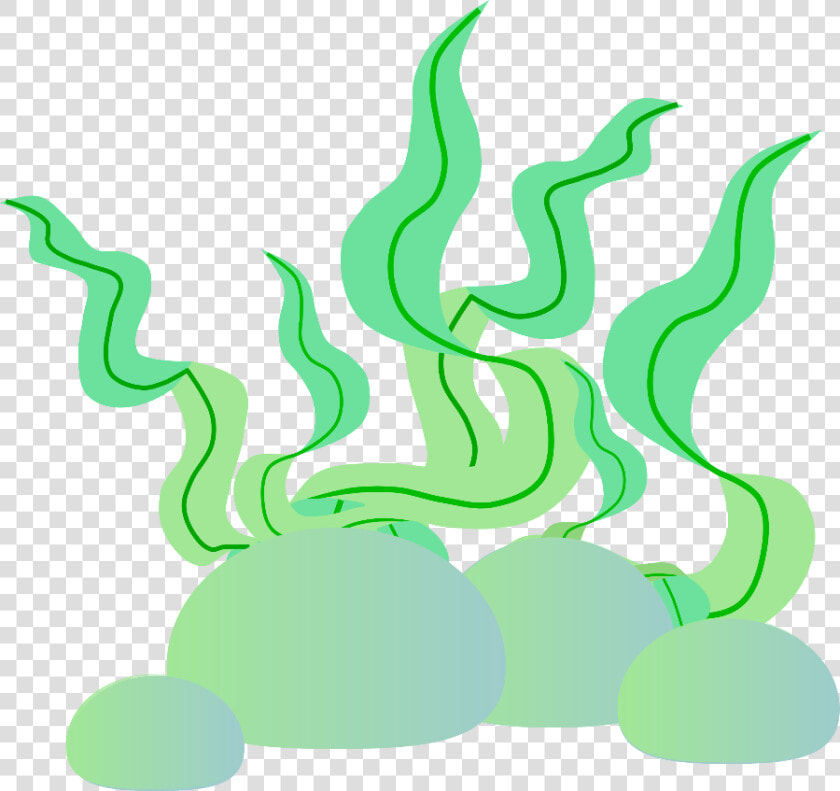 Transparent Seaweed Clipart   Coisas Fundo Do Mar Png  Png DownloadTransparent PNG