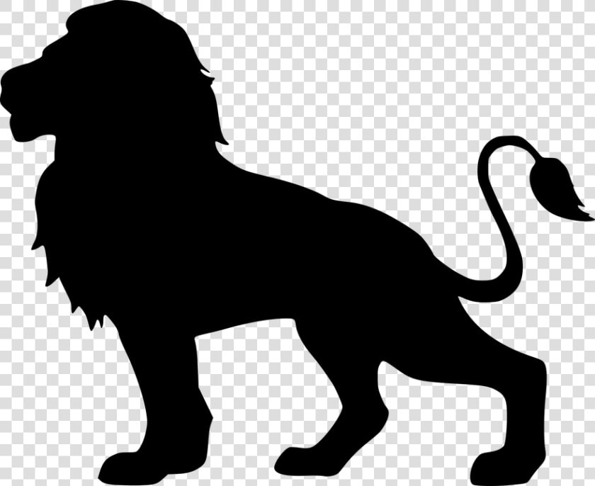 Lion  Silhouette  Isolated  Animal  Head  Graphic    Lion Silhouette  HD Png DownloadTransparent PNG