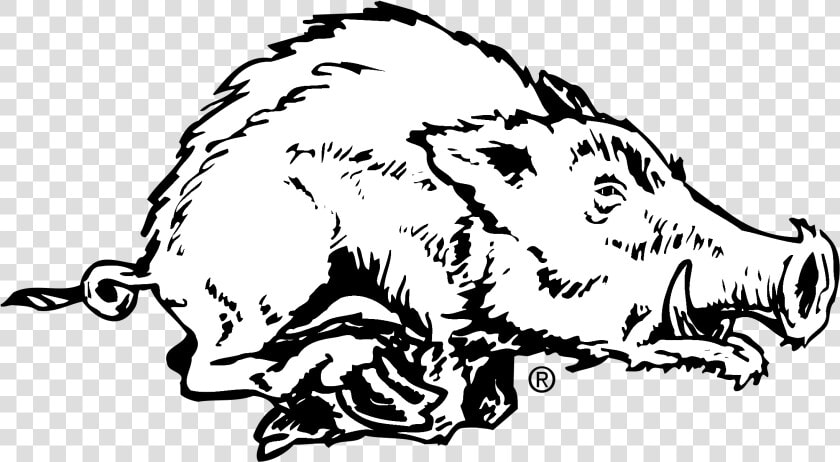 Arkansas Razorback Logo Black And White   Arkansas Razorbacks  HD Png DownloadTransparent PNG