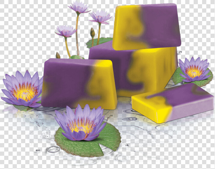 Handmade Glycerin Soap   Water Lily  HD Png DownloadTransparent PNG