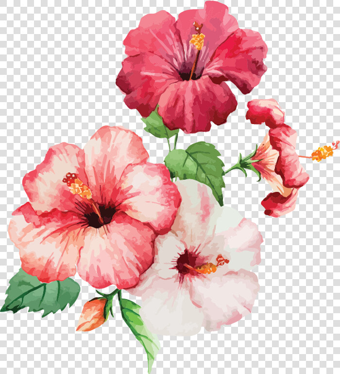 Painting Watercolour Flowers  HD Png DownloadTransparent PNG