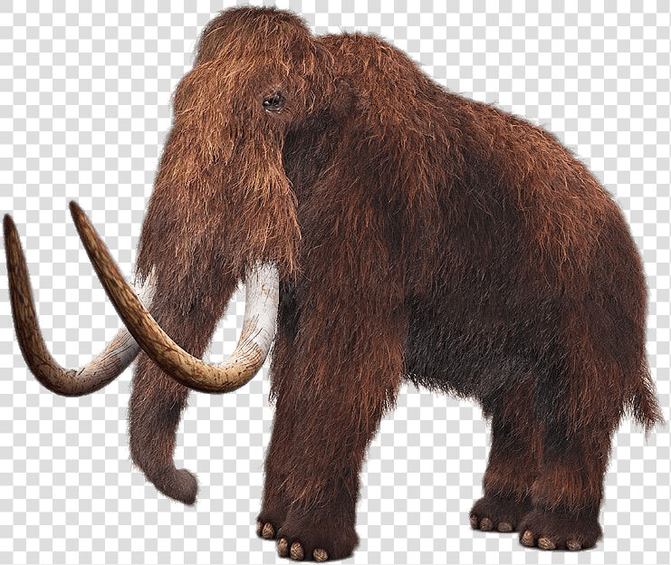 Wooly Mammoth  HD Png DownloadTransparent PNG