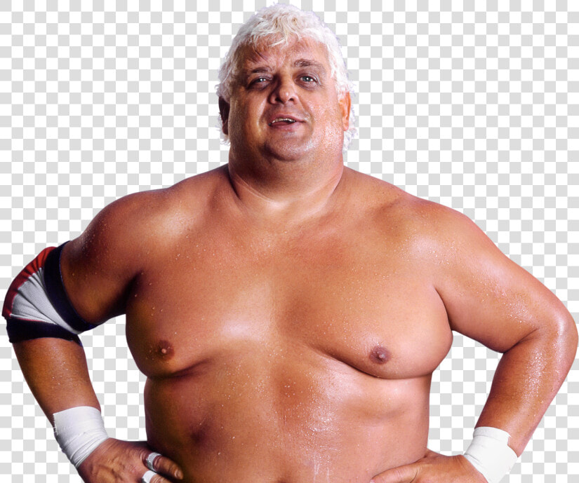 Dusty Rhodes Pro   Wwe Dusty Rhodes Png  Transparent PngTransparent PNG