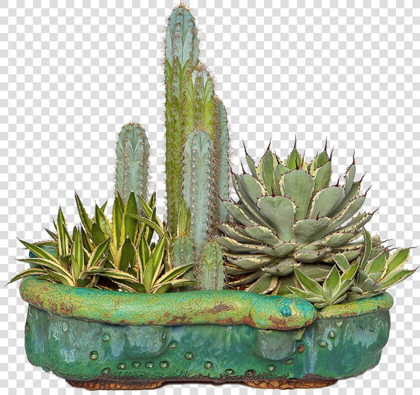 Custom Specialty Pottery And Vases For Cactus And Succulents   Rick Van Dyke Pottery  HD Png DownloadTransparent PNG