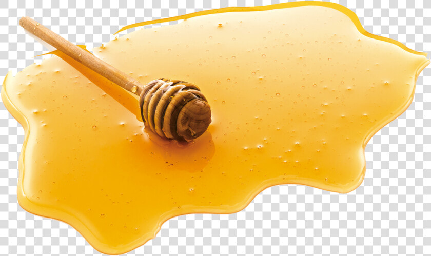 Honey Png   Transparent Honey Png  Png DownloadTransparent PNG