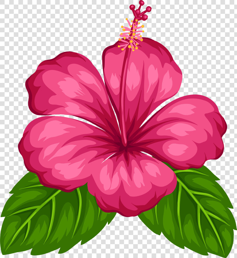 Flowering Family clip Art herbaceous Plant magenta  HD Png DownloadTransparent PNG