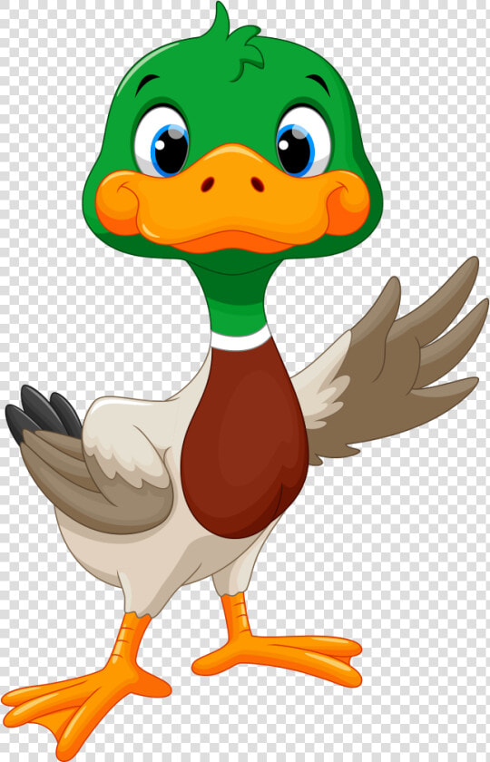 Clip Free Library Clipart Goose   Cute Mallard Duck Clipart  HD Png DownloadTransparent PNG