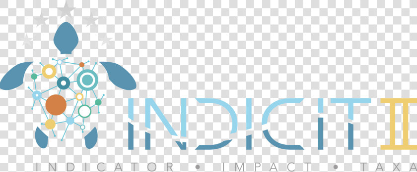 Logo Indicit Project   Indicit Ii Project  HD Png DownloadTransparent PNG