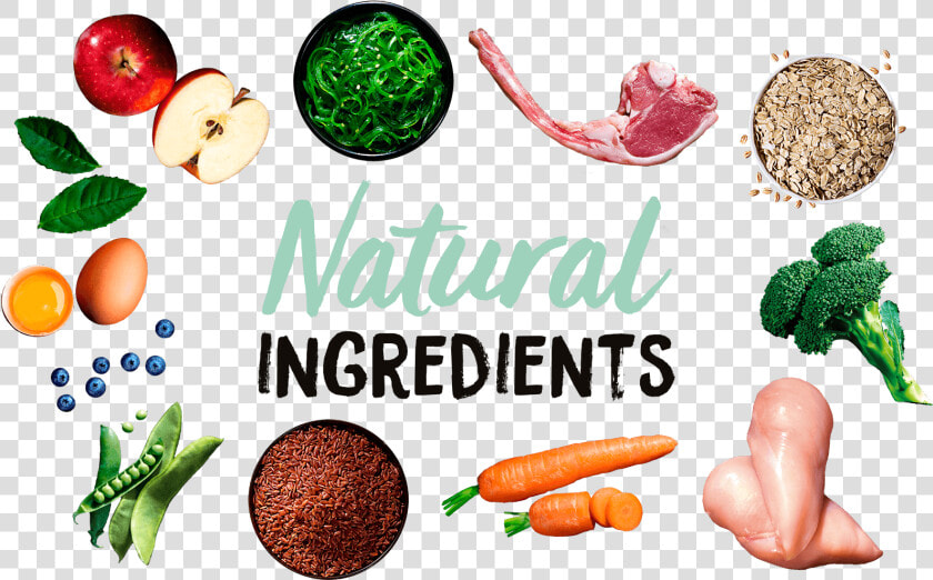 Natural Ingredients   Carrot  HD Png DownloadTransparent PNG