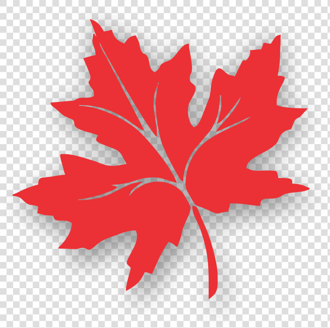 Transparent Maple Leaves Clipart   Chinar Leaf Kashmir Logo  HD Png DownloadTransparent PNG