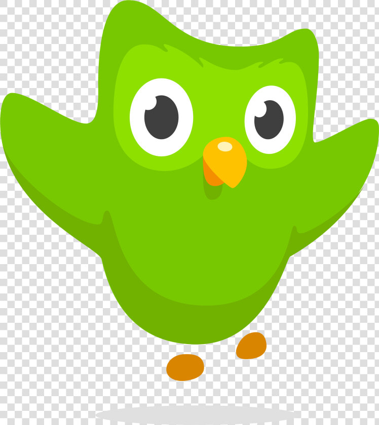 Duolingo Logo  Owl   Duolingo Owl Png  Transparent PngTransparent PNG