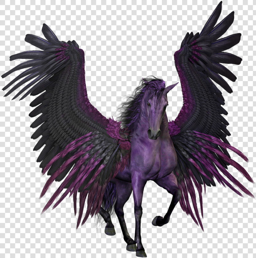 Pegasus  Flying  Winged  Horse  Pony  Myth   Black And Purple Pegasus  HD Png DownloadTransparent PNG