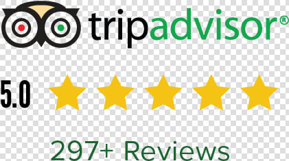 Tripadvisor Reviwe   Tripadvisor Llc  HD Png DownloadTransparent PNG