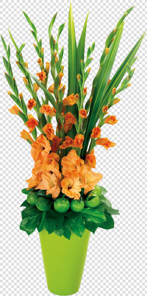 Gladiolus Flower Arrangements  HD Png DownloadTransparent PNG