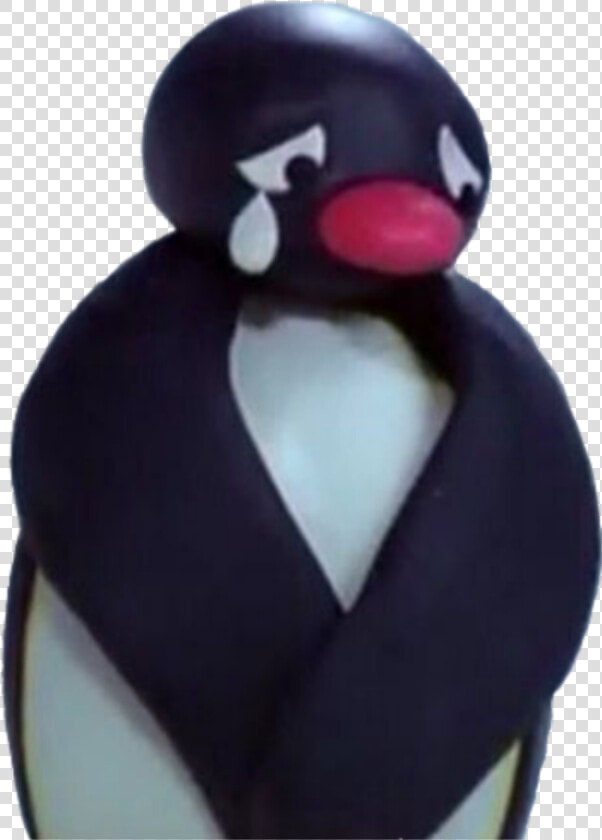  pingu   Pingu Stickers  HD Png DownloadTransparent PNG