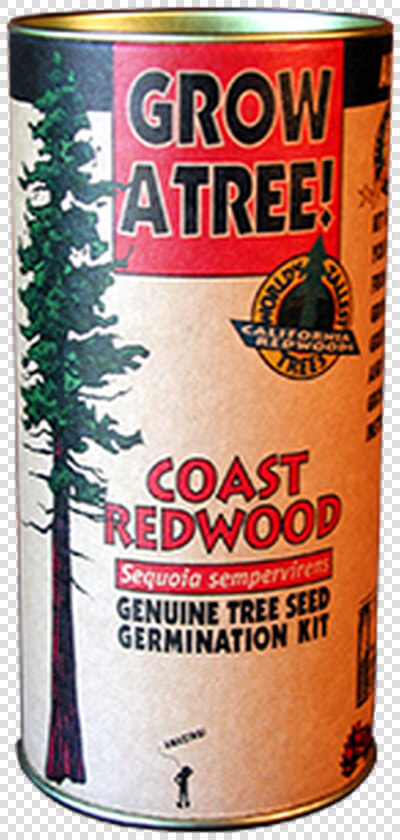 Coast Redwood Grow A Tree Kit   Beer  HD Png DownloadTransparent PNG