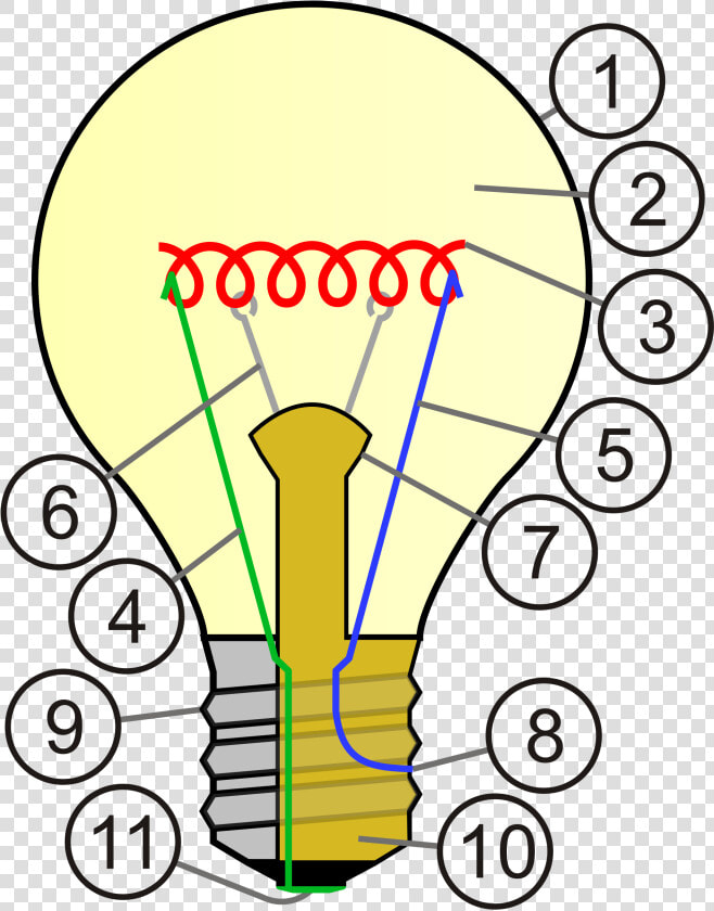 Lampada A Incandescenza Wikipedia   Light Bulb Cross Section  HD Png DownloadTransparent PNG