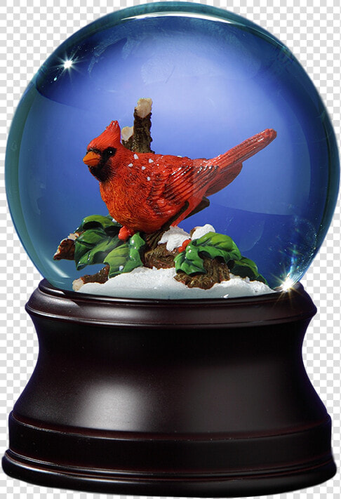 Holiday Cardinal Snow Globe Class   Okapi  HD Png DownloadTransparent PNG