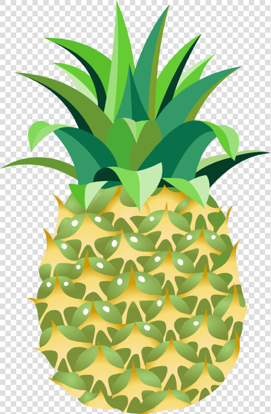 Pineapple Png Image  Free Download   Pineapple Png  Transparent PngTransparent PNG