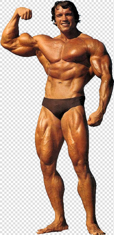 Arnold Png   Arnold Schwarzenegger Bodybuilding Png  Transparent PngTransparent PNG