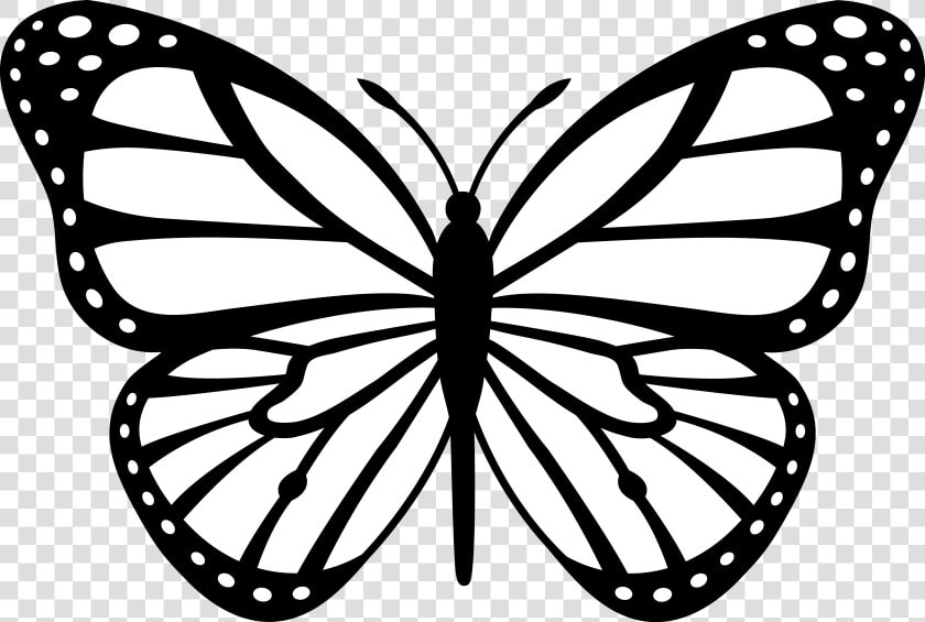 Butterfly Clipart Black And White Free Images Transparent   Butterfly Clipart Black And White  HD Png DownloadTransparent PNG