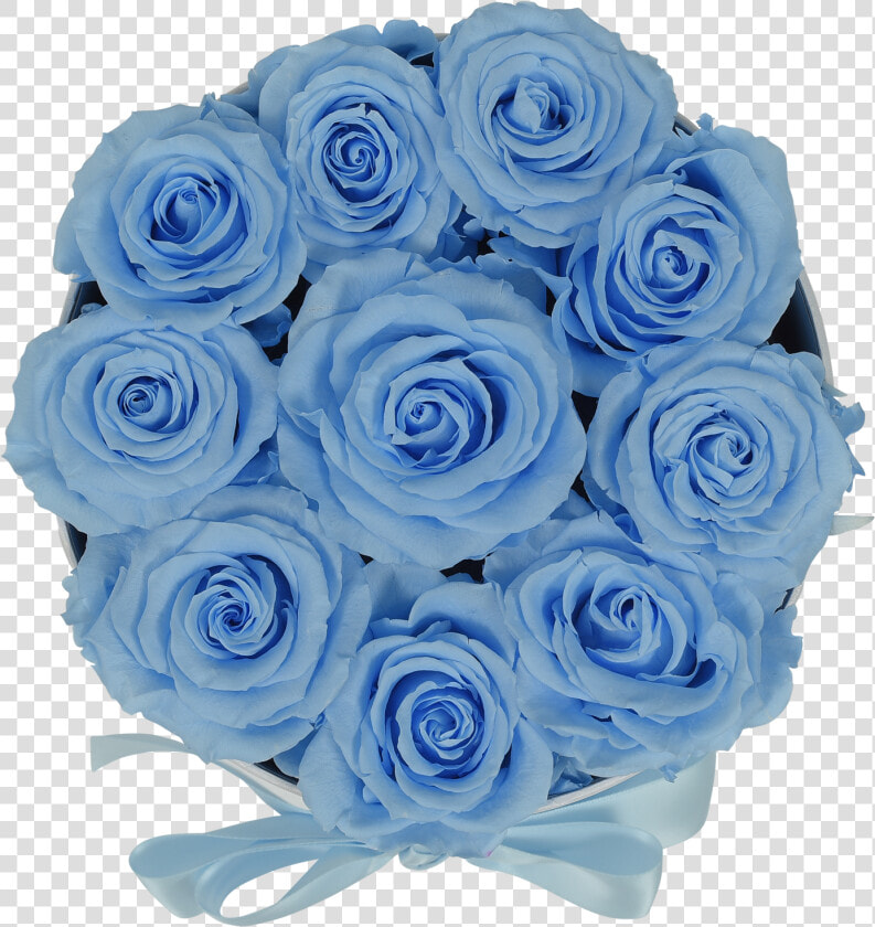 Orb Original Baby Blue Roses Class Lazyload Lazyload  HD Png DownloadTransparent PNG