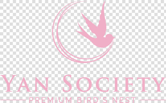 Yan Society Premium Bird S Nest Online Store   Lake County  Florida  HD Png DownloadTransparent PNG