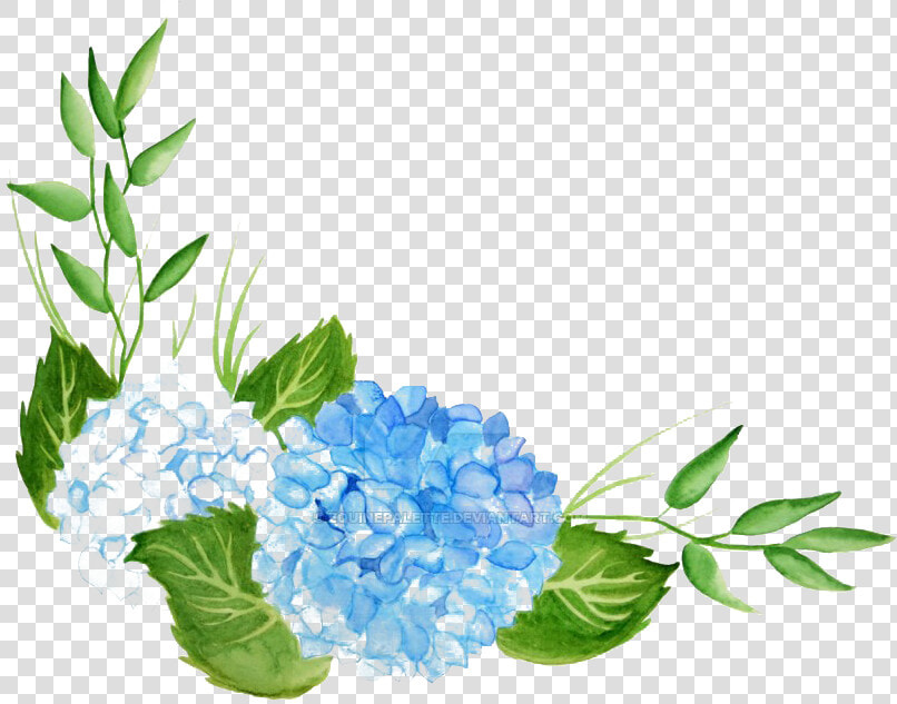 Hydrangea Png Hd   Hydrangea Watercolor Png Free  Transparent PngTransparent PNG