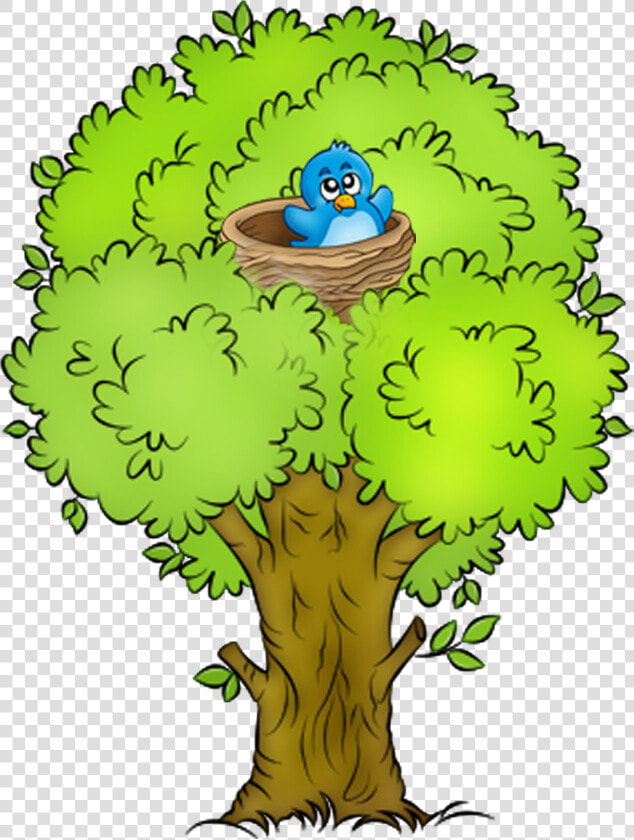 Park Clipart Spring   Arbre Clipart  HD Png DownloadTransparent PNG