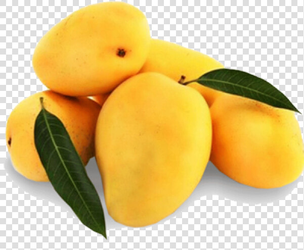 Mango Alphonso   Pakistani Mangoes  HD Png DownloadTransparent PNG