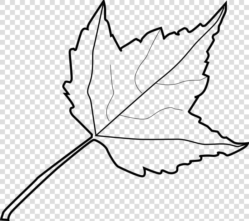 Leaf Outline Tree Outline With Leaves Clipart   Leaf Clipart Black And White  HD Png DownloadTransparent PNG