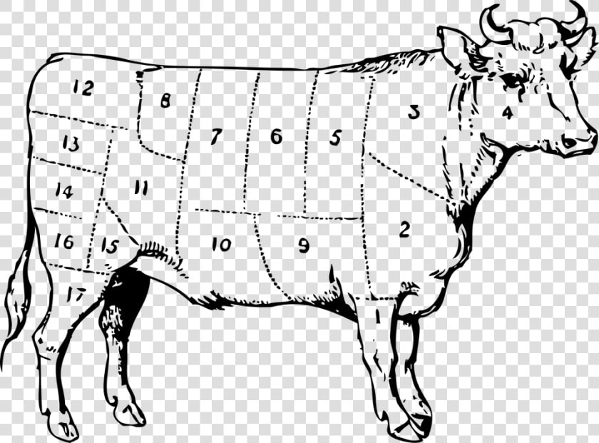 Cow  Beef  Cuts  Numbered  Symbol  Meat  Parts  Cattle   Ox Clip Art  HD Png DownloadTransparent PNG